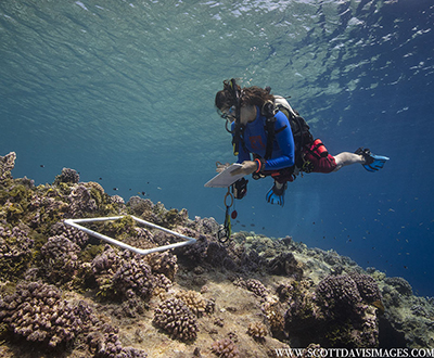 Michelle Paddack taking data underwater off the shore of Elato Island. Photo credit: Scott Davis